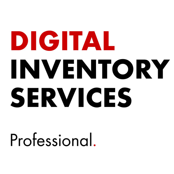 Servicios de Inventario Digital - Nivel 2 - Profesional