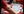 Servicios de Inventario Digital - Nivel 2 - Profesional